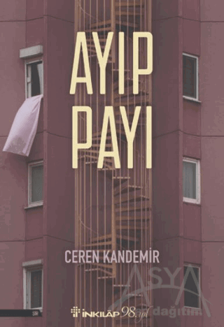 Ayıp Payı