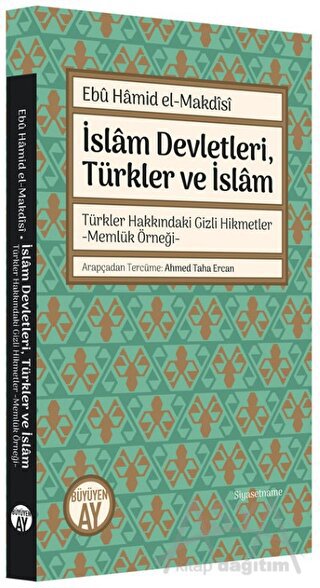 İslam Devletleri, Türkler ve İslam