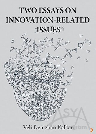 Two Essays on İnnovation-Related Issues